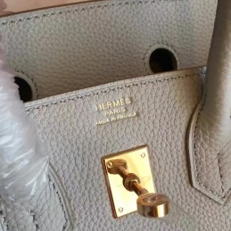Light Gray Birkin 25 Smooth Leather Gold Hardware Bag