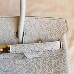 Light Gray Birkin 25 Smooth Leather Gold Hardware Bag