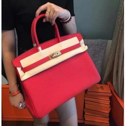 Red Beige Birkin 35 Gold Hardware Bag