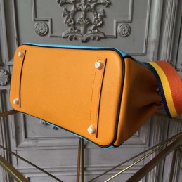 Yellow Blue Birkin 30 Bag