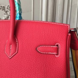 Red Print Birkin 35 Bag