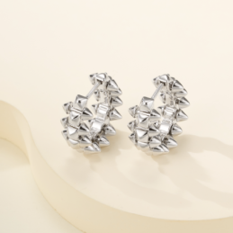Clash Studded Stud Earrings...