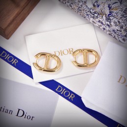 Navy Earrings